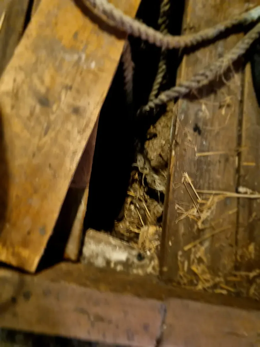 Decay 2024 Gallery Image 44